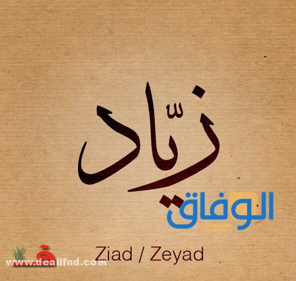 معني اسم زياد