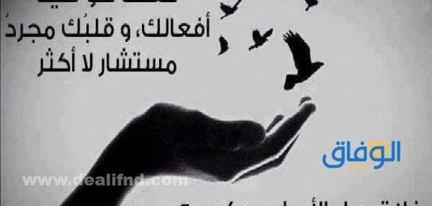 +200 أجدد حكم عن الحياة | 2024 عبارات معبرة