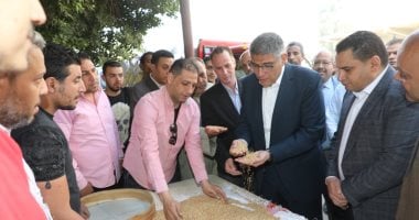 محافظ الجيزة: توريد 44 ألف طن قمح حتى الآن بالصوامع والشون